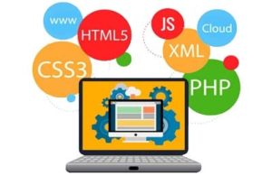 Web Design and Development